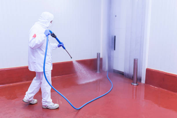 Timonium, MD Pressure Washing Services Company